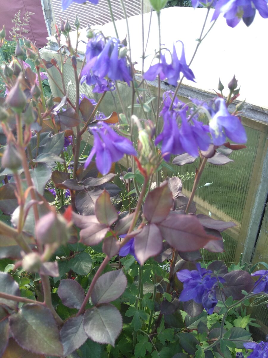 Фото автора. Полистайте.