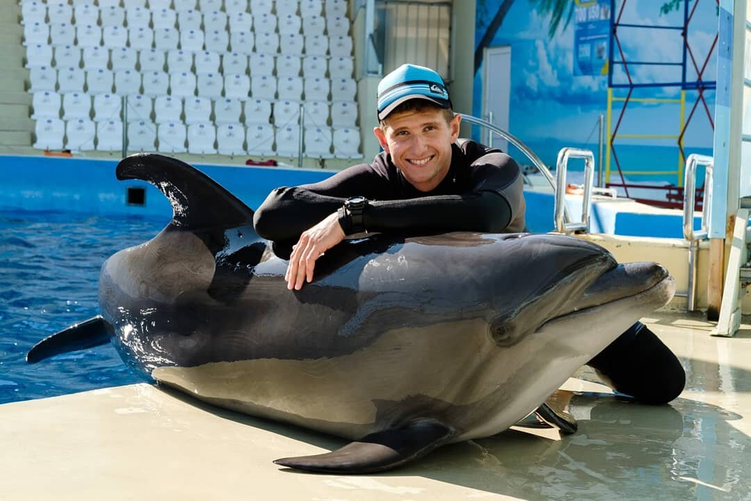 Дельфинарий екатеринбург фото с дельфинами стоимость
