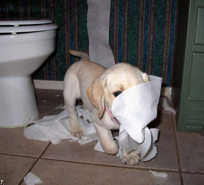 источник - http://www.fresher.ru/images3/odni-doma/4.jpg.