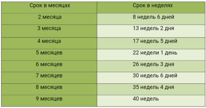 Таблица беременности в месяцах и в неделях