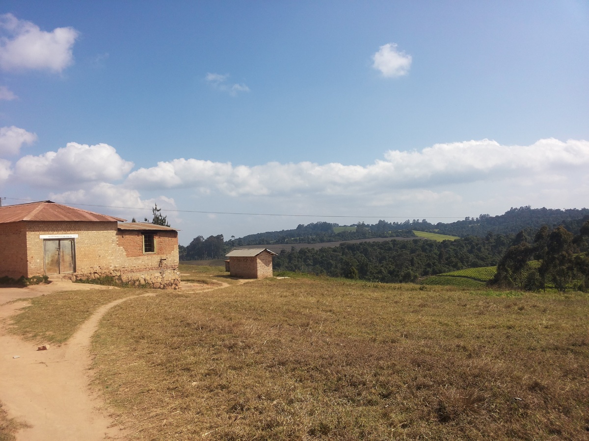 Танзания, 2015