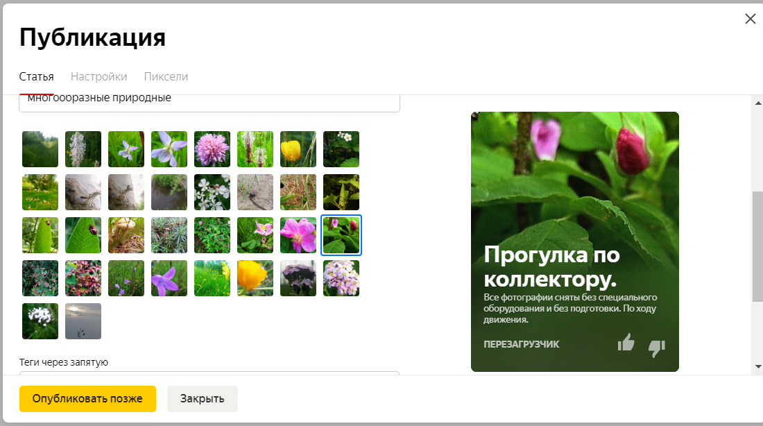 Видите обведённое синим контуром маленькое фото? 