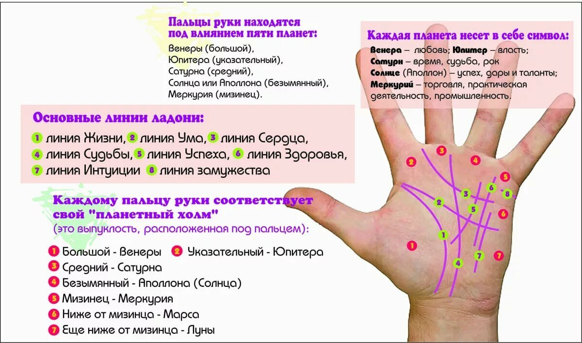 Фото из открытых источников 