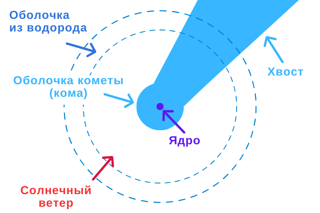 Комета состоит из ядра, оболочек и хвоста.
