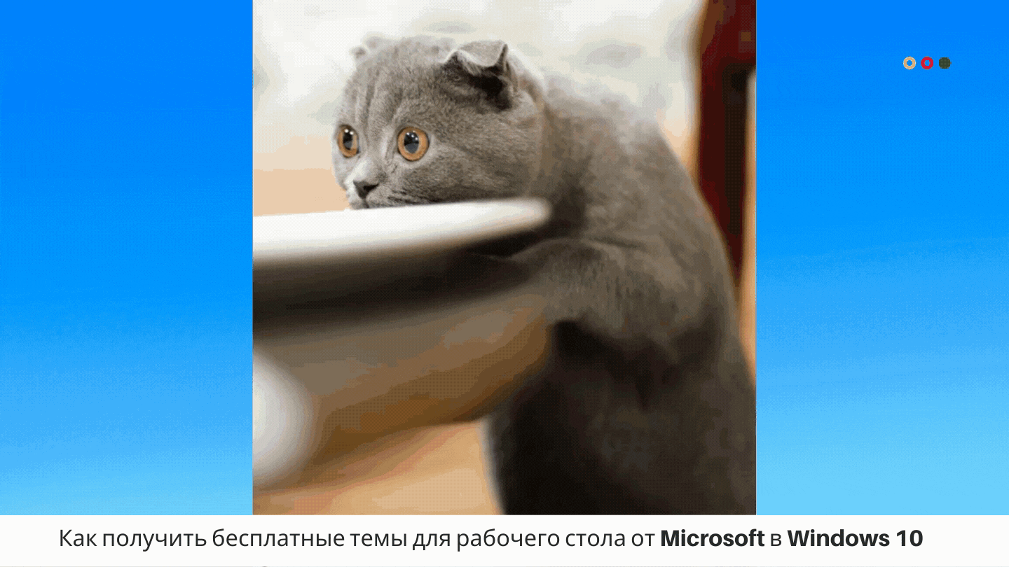 @Microsoft