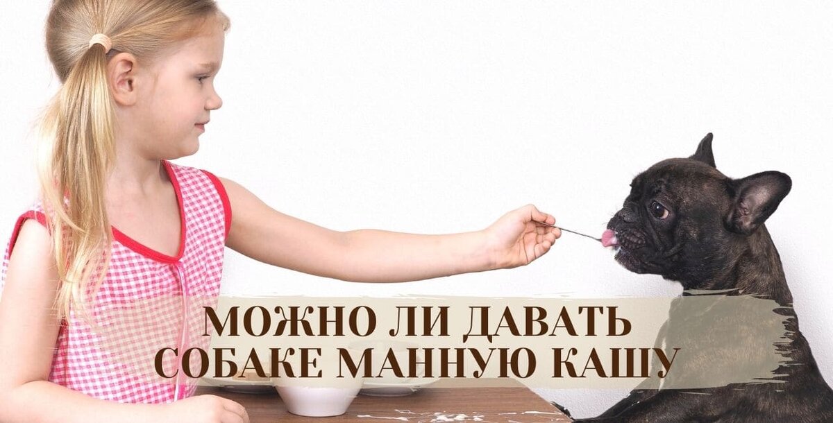 Крупу просеивают это. Semolina porridge png. Как приготовить манную кашу. Манная каша. Доклад о манной каше.