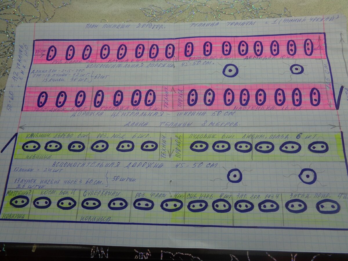 Ольга чернова схема посадки томатов