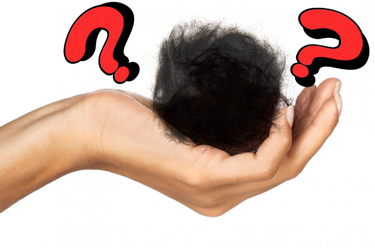 Распространенные мифы о выпадении волос