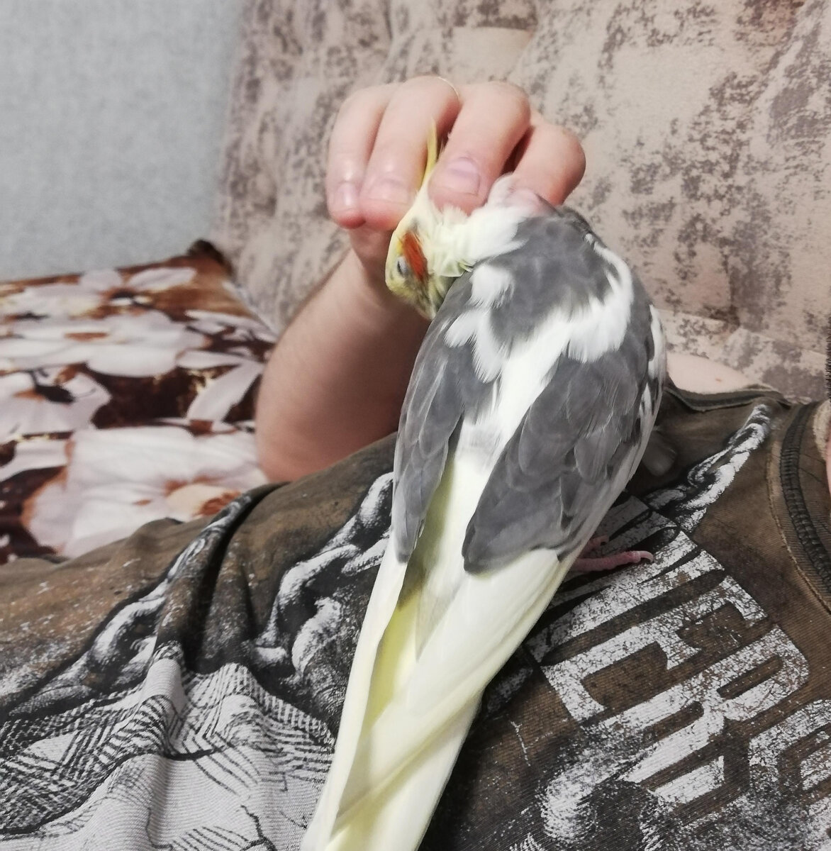 Вместе уютненько, но спать нельзя. Фото автора.