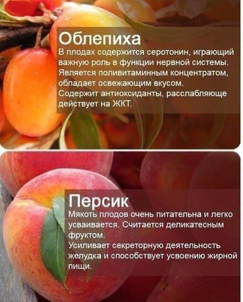 Здоровое питание. Фруктовое меню.