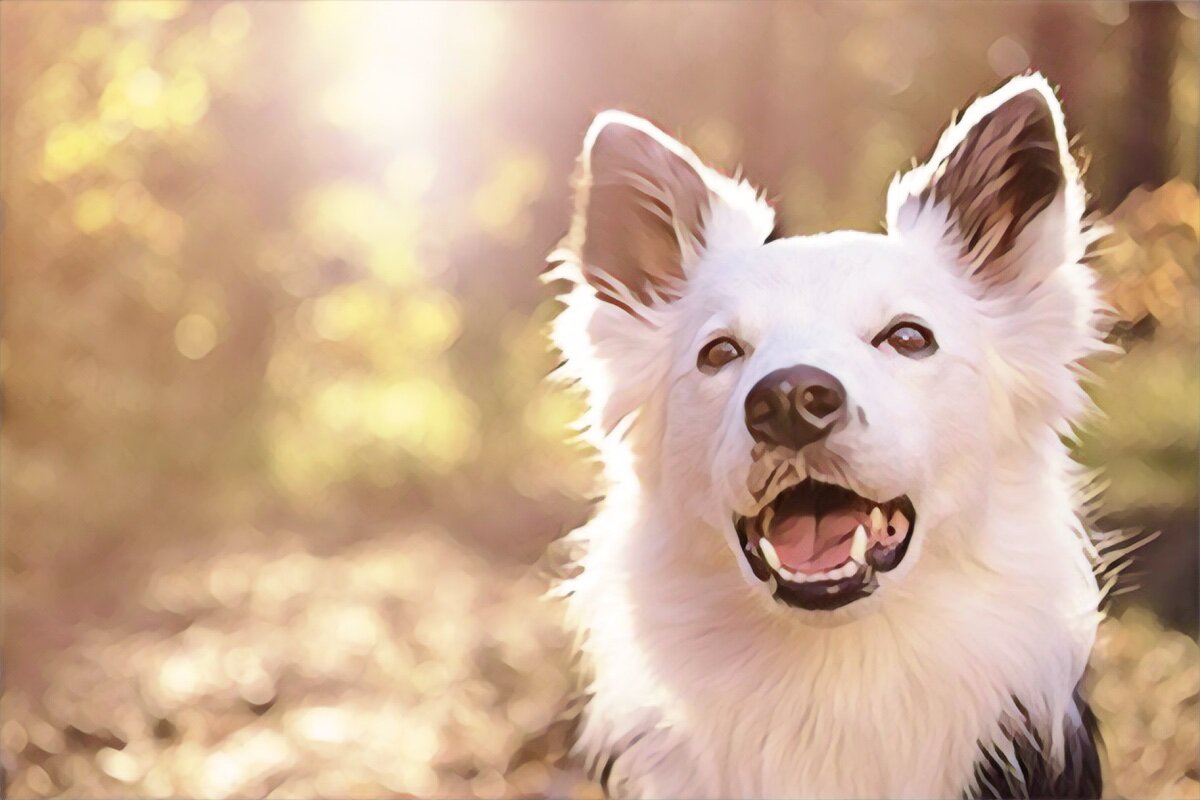 Фото:freepik.com