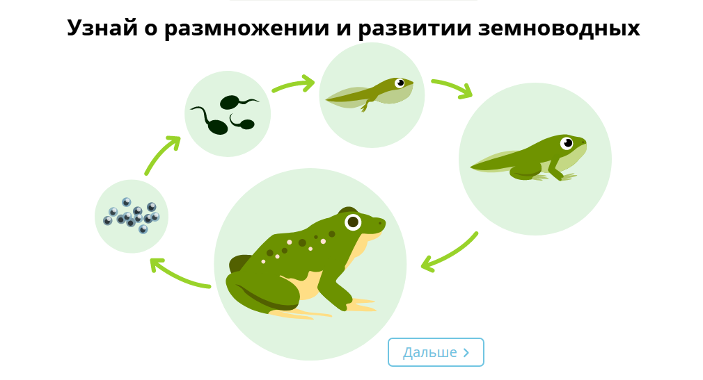 Держите круговорот! 