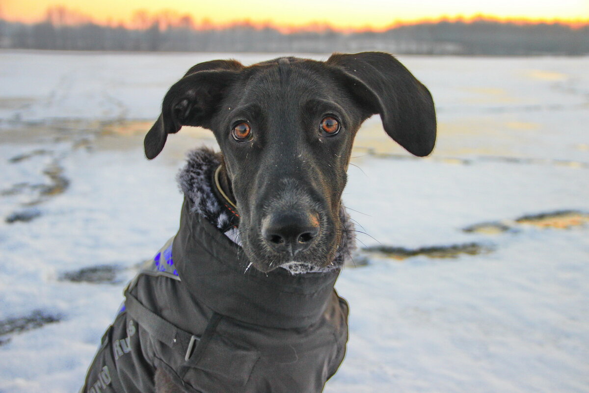 моя звезда. И как тут пройти мимо? 