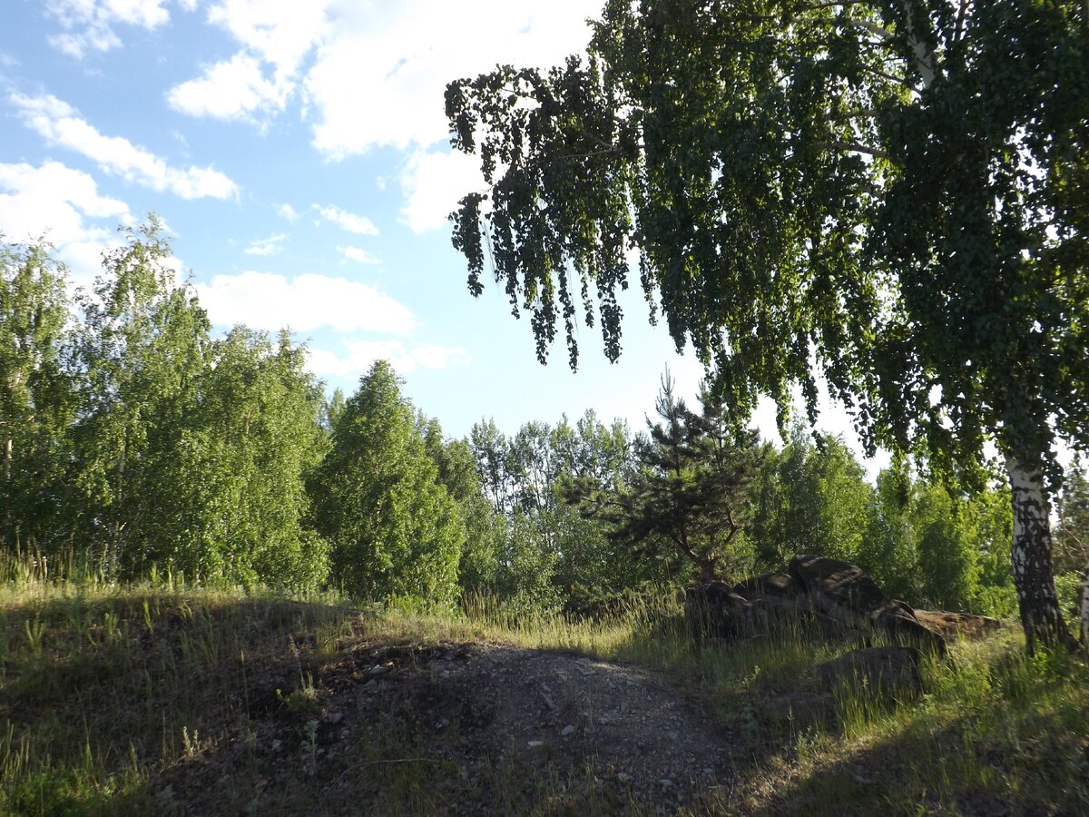 Возвышенность