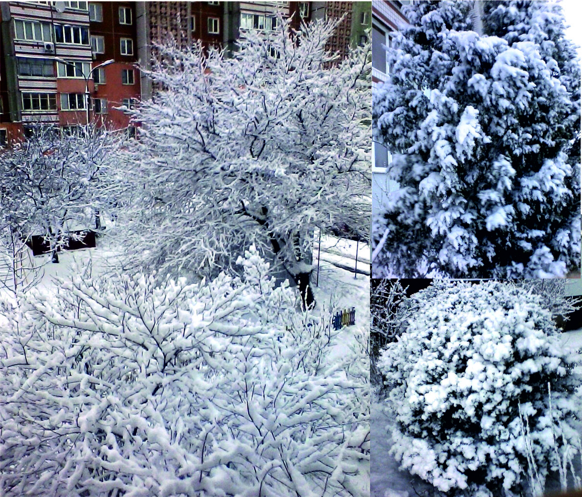Фотографии из личного архива
