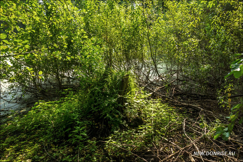 Протока между болотами