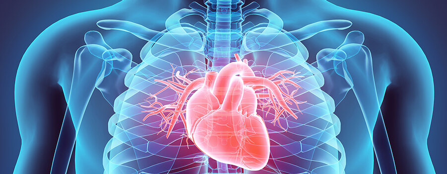 Влияние наркотиков на сердце и сосуды
