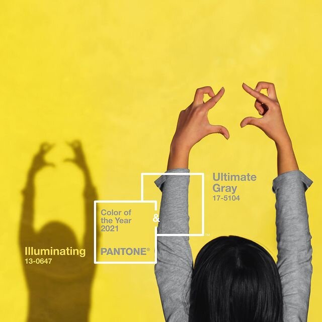 https://www.instagram.com/pantone/