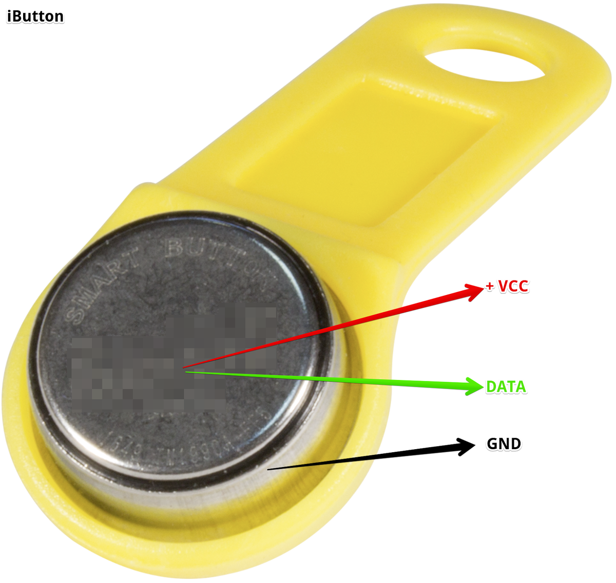 Touch memory. IBUTTON считыватель 4pin. Эк IBUTTON ds1977. Идентификатор IBUTTON ds1992. Считыватель IBUTTON SN-TMC-INT.