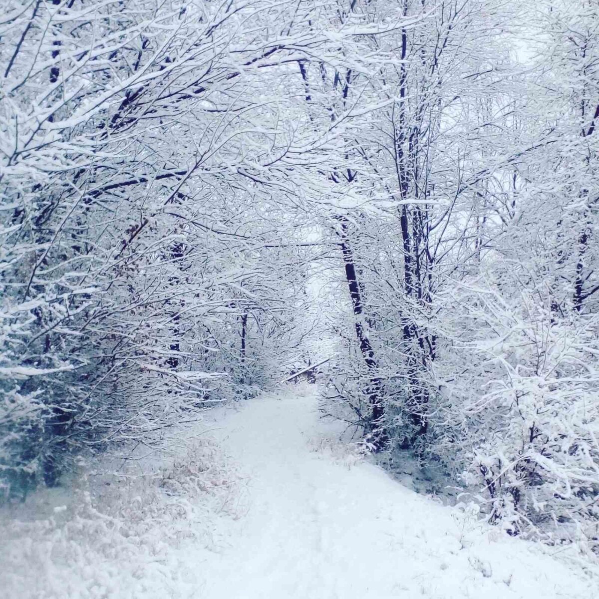 Фото: из  личного архива автора