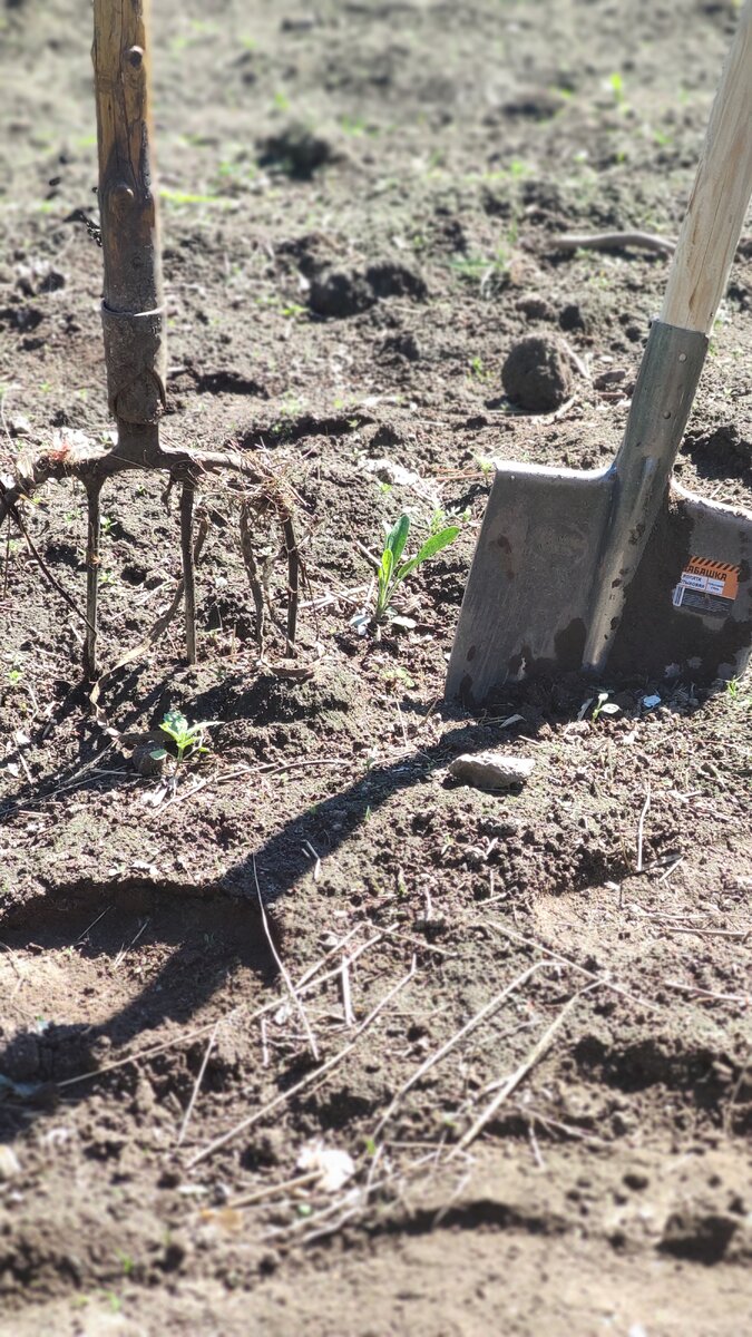 Терпенье и труд все перетрут! 