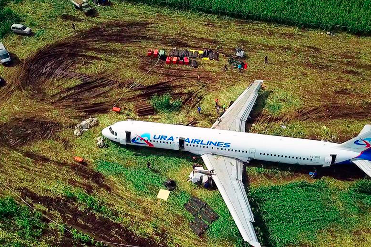 Жуковский 2 самолета. А321 самолет. На кукурузном поле Airbus a321. Аэробус а-321. Самолёт а321 Уральские авиалинии.