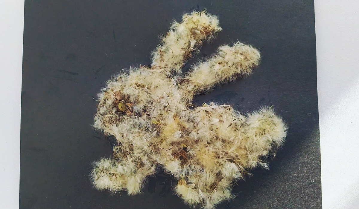 Все фото авторские