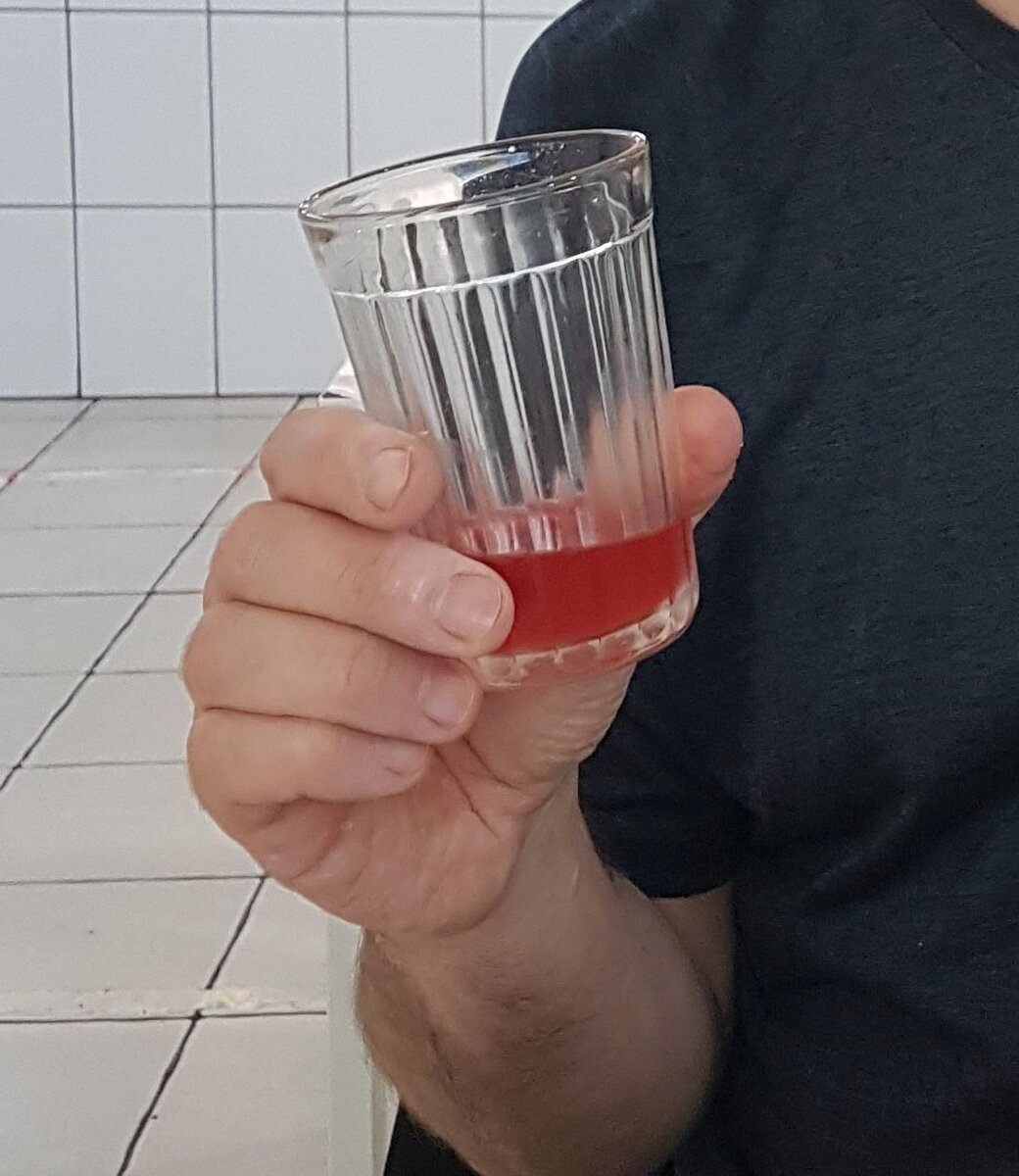 Морс для звезды. Фото автора