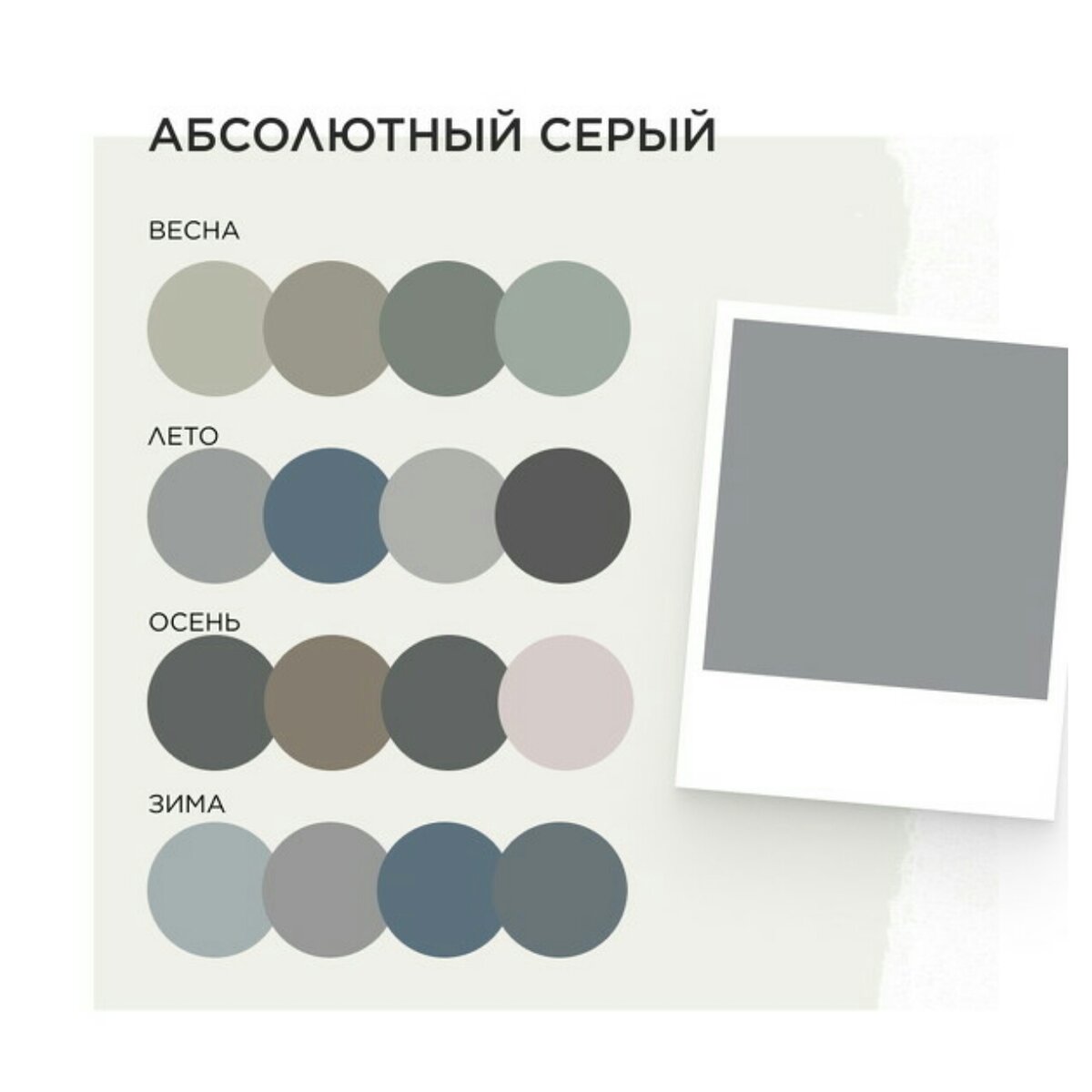 Оттенки серого по цветотипам