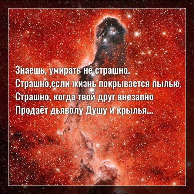 Фото с просторов интернета