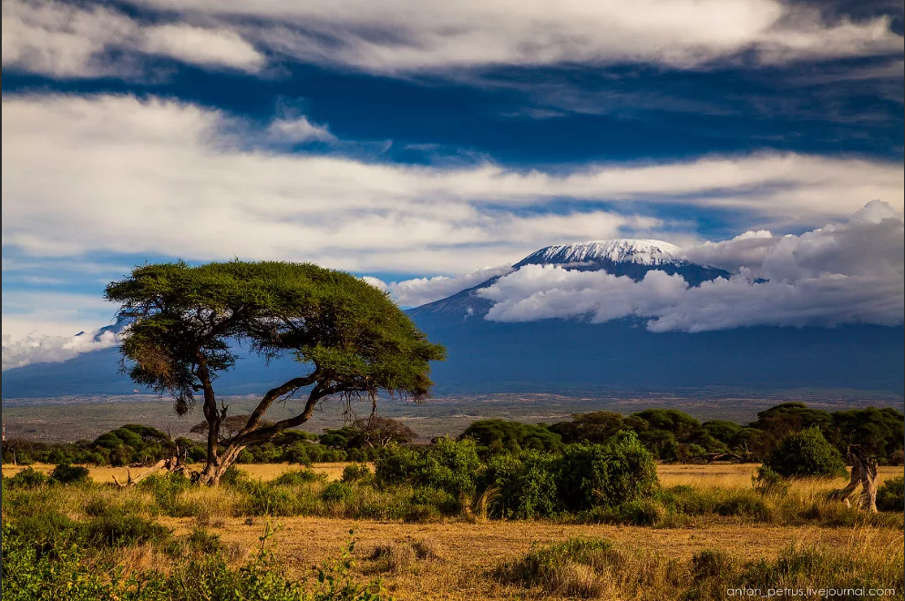 Саванна в Африке. Национальный парк Амбосели в Кении. www.turism.boltai.com