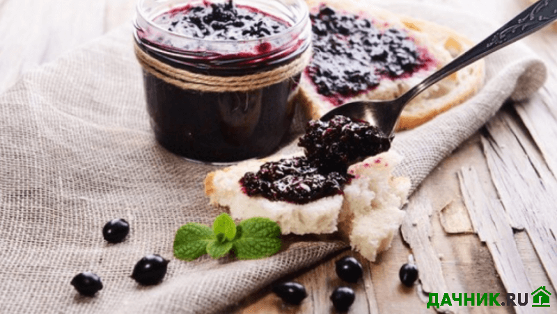 Полезные рецепты из черной смородины: коктейли, десерты, варенье