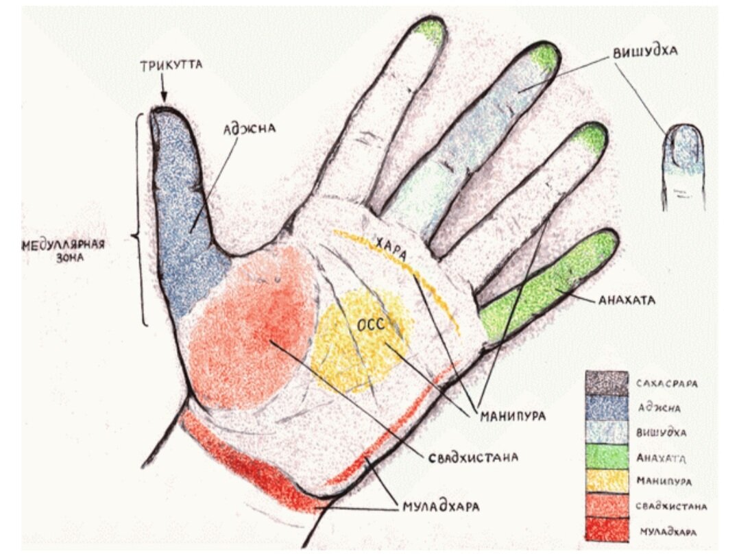 Чакры на ладонях