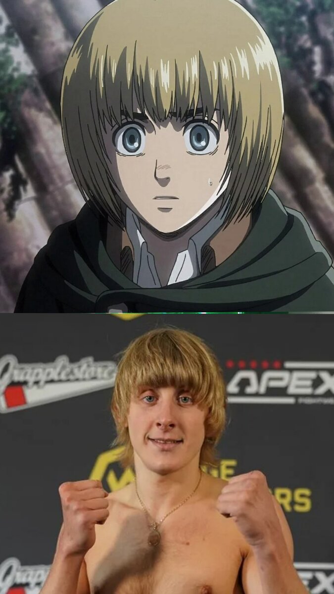 Армин из атаки титанов и Пэдди боец UFC