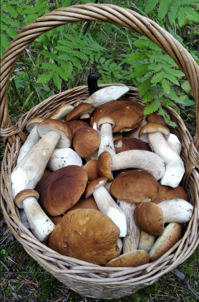 Фото Татьяны Грач