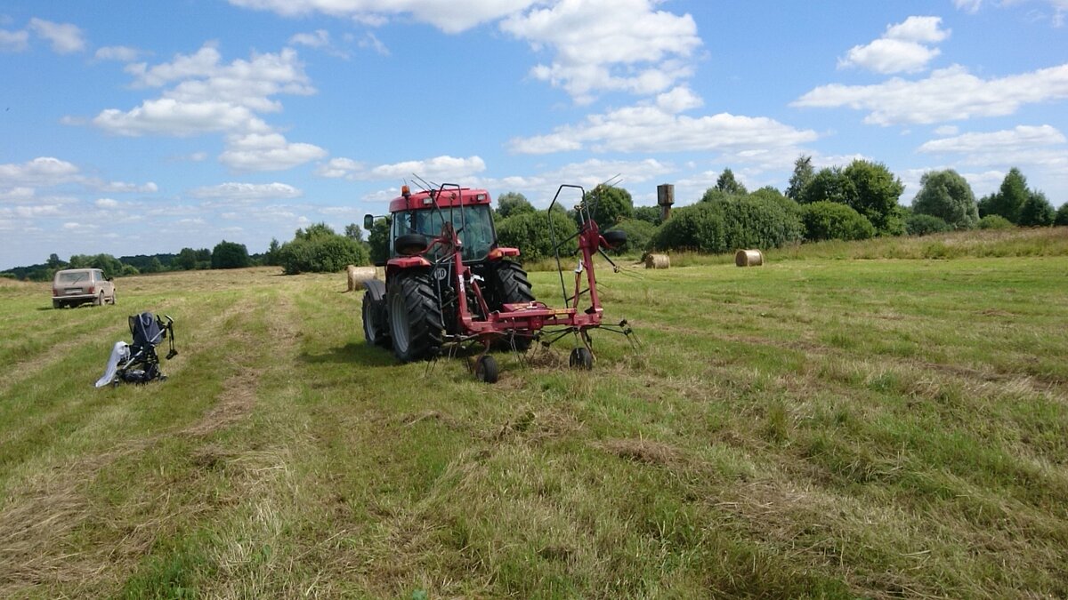 Сенокос 2018, Максим в коляске