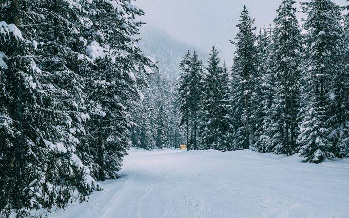 Фото: из открытых источников