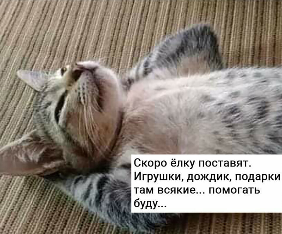 Фото с просторов интернета