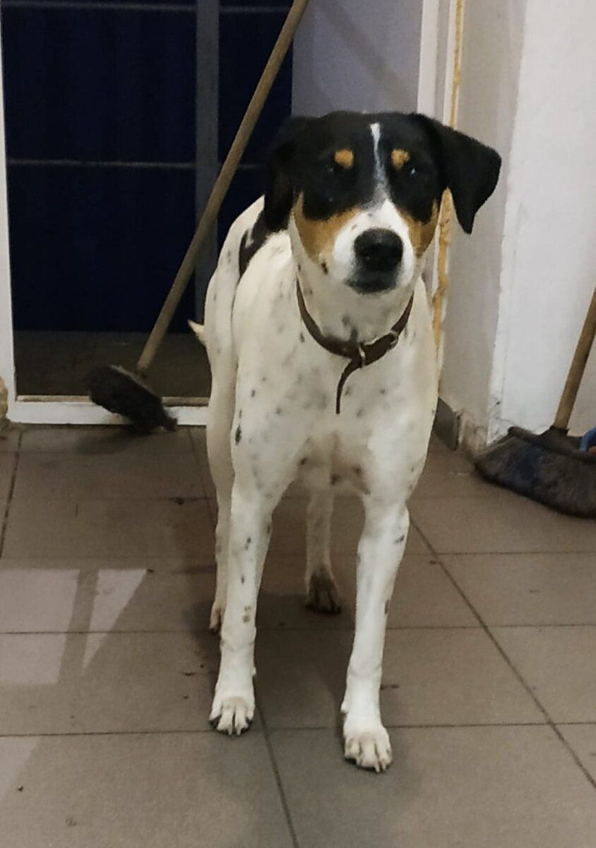 Это первая фотка нашей "потеряшки" в России! 