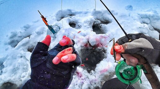 Рыбалка где утаскивает рыба удочку! Зимняя рыбалка, первый лёд. Ловля щуки и окуня