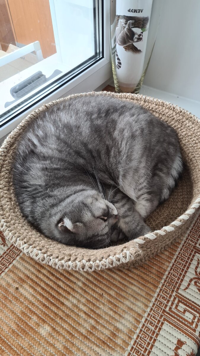 Счастливый обладатель Новой Джутовой Кровати