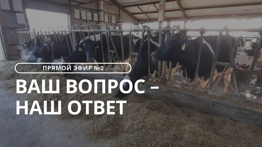 Ответы на вопросы. Как увеличить потребление? Как кормить сухостой? Как выбрать консервант?