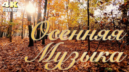Ансамбль солнечный ветер. Клип про осень с музыкой. Эгилс страуме. Autumn classic music. Дуэт с гитарой.