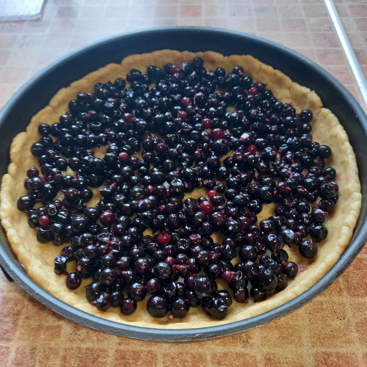 черная смородина