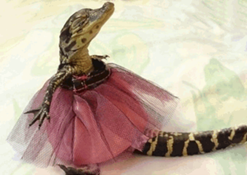 Источник: Pinterest