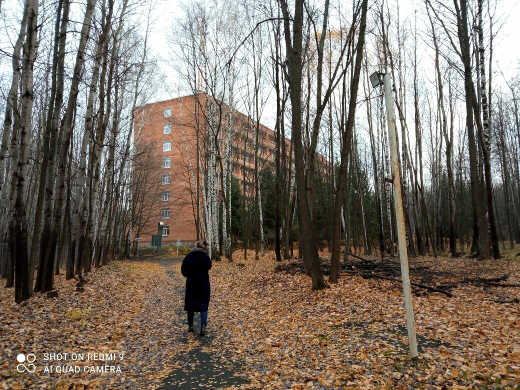 Территория и корпус санатория "Березовая роща". Фото: yandex.ru/maps/ Ситникова Алена