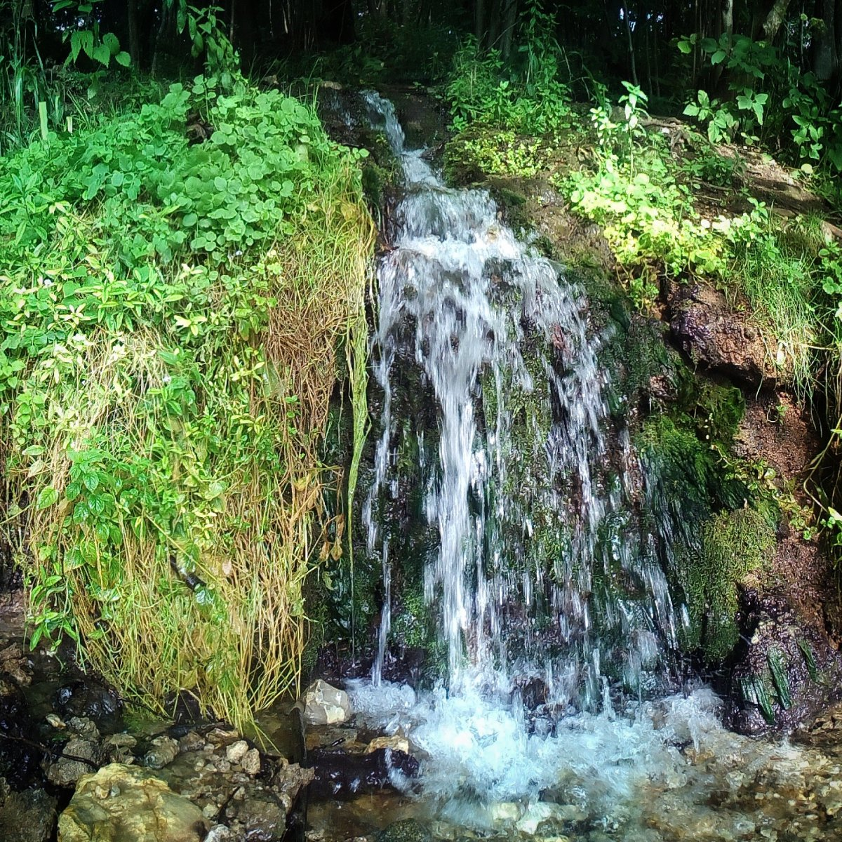 Фото из интернета.