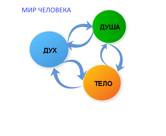 С удивлением обнаружил, что идея воспринимать человека как "троицу" Духа, Души и Тела весьма распространена. причем не только в былые времена, но и сейчас. Это очень хорошо, что данную тему поднимают многие люди независимо друг от друга и по разным причинам. Значит она верна. Значит, она вернет себе умы широких слоев населения.