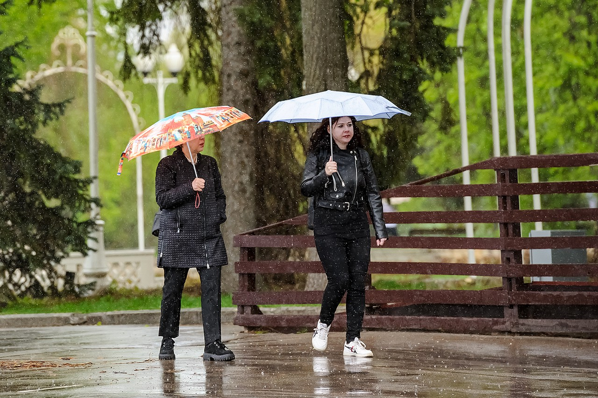 Фото: Дмитрий Дубинский / Абзац