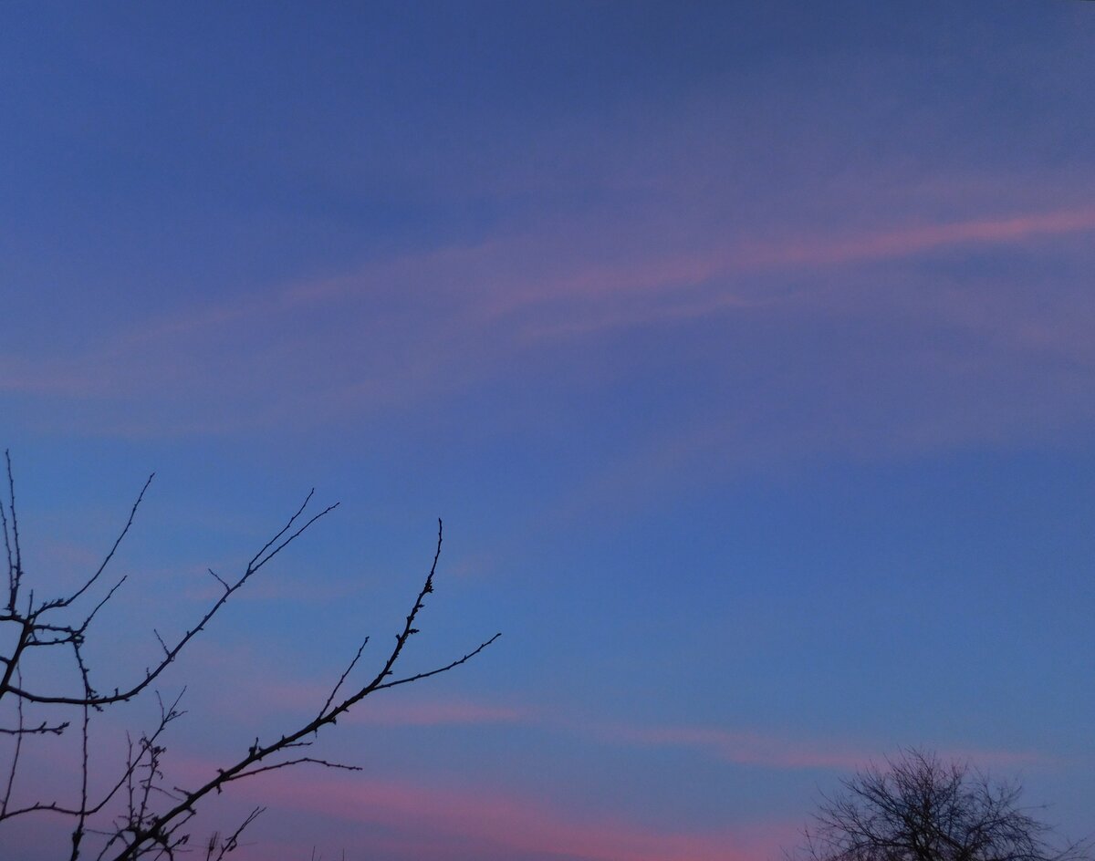 Фото автора канала